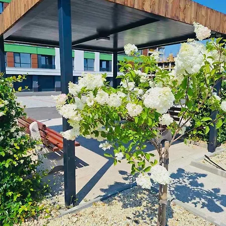 Sea Horizon 부르가스